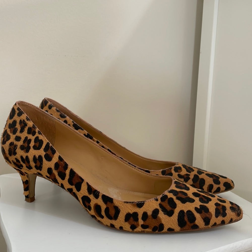 J Crew Kitten Heel